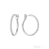 White Gold / 1.00CTDI