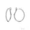 White Gold / 0.75CTDI