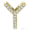 Yellow Gold / Y